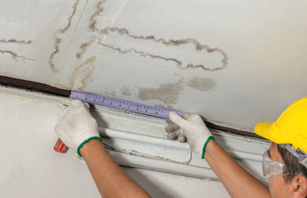 Reliable Mold Remediation contractor in Spencer, WI by Water Damage Irwin